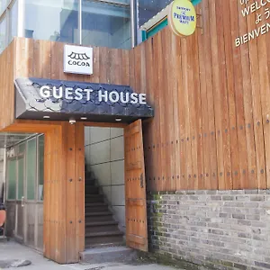 Cocoa South Korea